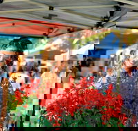 Ballina Missingham Farmers Market - Tourism Cairns