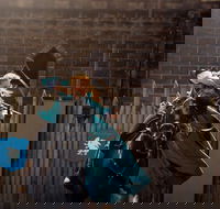 Baroque Horse Festival - Tourism Cairns