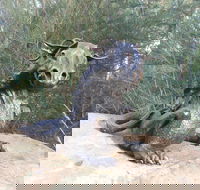 Bathurst Arts Trail - Tourism Cairns
