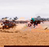 Birdsville Campdraft  Rodeo and Bronco Branding - Tourism Cairns