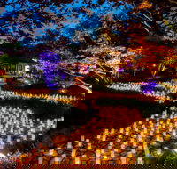 Canberra Nara Candle Festival - Tourism Cairns