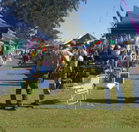 Casino Golf Club Markets - Tourism Cairns