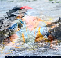 Cave Hill Creek Summer Camp - Tourism Cairns