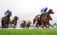 Christmas Cup Race Day - thumb 0