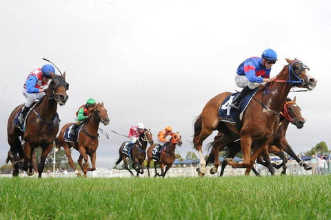 Christmas Cup Race Day - Tourism Cairns 0