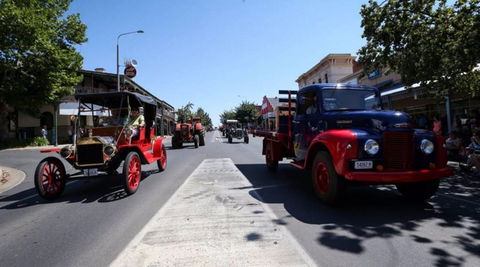 Corowa Rotary Federation Festival - Tourism Cairns 1