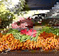Evandale Market - Weekly - Tourism Cairns