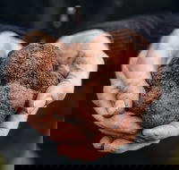 Feast and Forage - Craig's Royal Hotel - Tourism Cairns