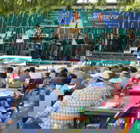 Festival in the Park - Tourism Cairns