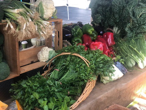 Friday Forage - Tourism Cairns 1