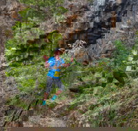 Goldrush Trail Runs - Tourism Cairns