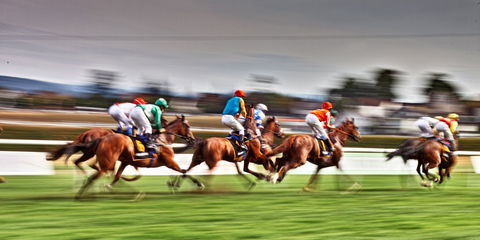 Grafton July Racing Carnival - Tourism Cairns 0
