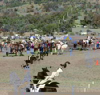 Gresford Agricultural Show - Tourism Cairns