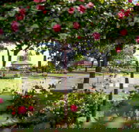 Griffith Spring Fest - Tourism Cairns