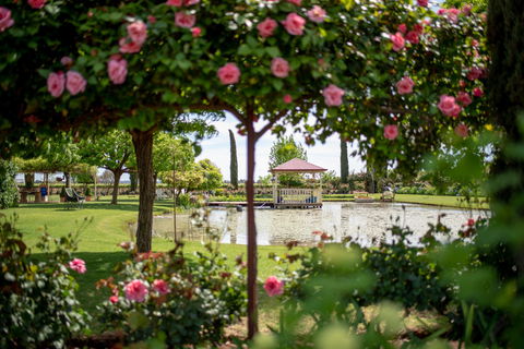 Griffith Spring Fest - Tourism Cairns 0