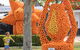 Griffith Spring Fest - thumb 1