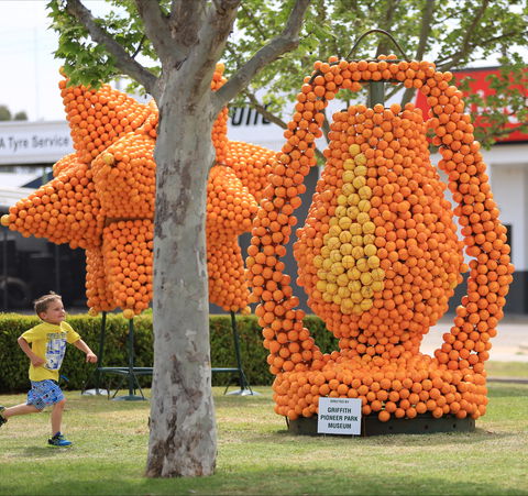 Griffith Spring Fest - Tourism Cairns 1