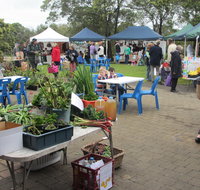 Hamilton HIRL Farmers and Craft Market - Tourism Cairns
