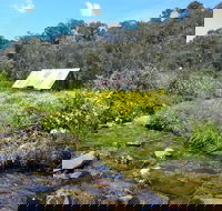 Hedonistic Hiking's Falls Creek to Hotham - Tourism Cairns