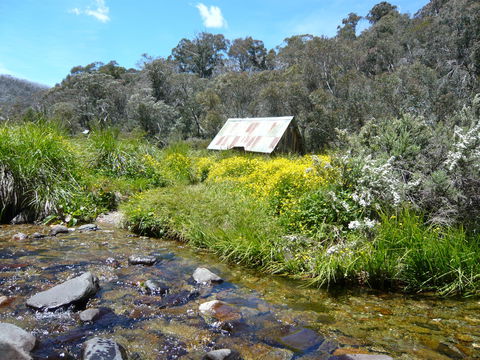 Hedonistic Hiking's Falls Creek To Hotham - Tourism Cairns 0