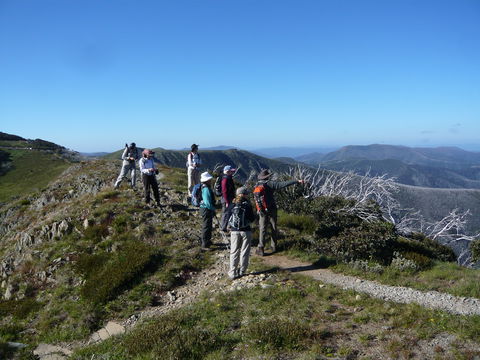 Hedonistic Hiking's Falls Creek To Hotham - Tourism Cairns 1