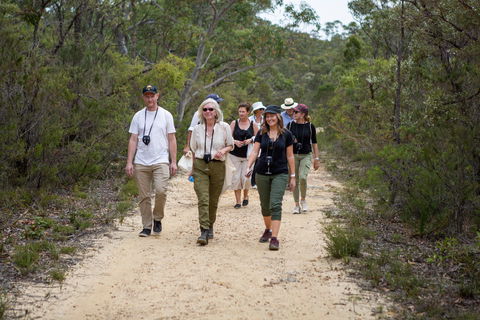 Highland Valley Forage - Tourism Cairns 1
