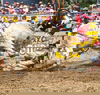 Jindabyne's Man From Snowy River Rodeo - Tourism Cairns