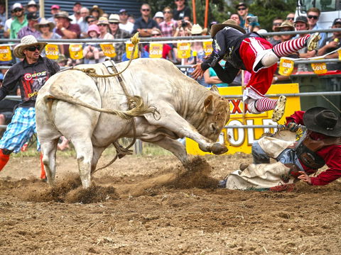 Jindabyne's Man From Snowy River Rodeo - Tourism Cairns 0
