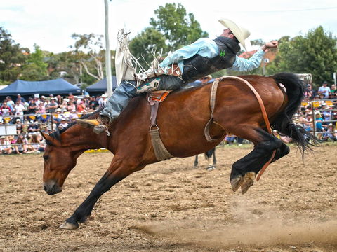 Jindabyne's Man From Snowy River Rodeo - Tourism Cairns 1