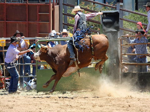 Jindabyne's Man From Snowy River Rodeo - Tourism Cairns 2