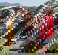 Lovedale Long Lunch - Tourism Cairns