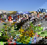 Maclean Community Monthly Markets - Tourism Cairns