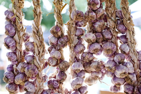 Meeniyan Garlic Festival - Tourism Cairns 0