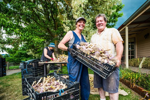 Meeniyan Garlic Festival - Tourism Cairns 2