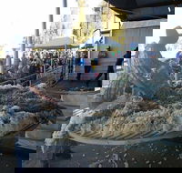 Narrabri Show - Tourism Cairns