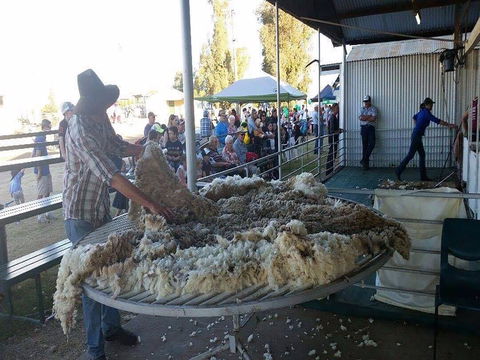 Narrabri Show - Tourism Cairns 0