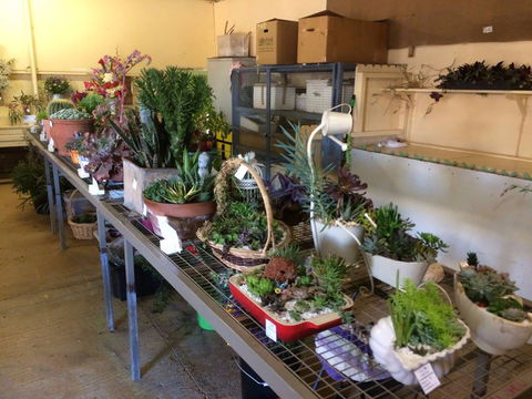 Narrabri Show - Tourism Cairns 2