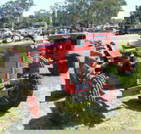 Oil Steam and Kerosene Family Fun Day - Tourism Cairns