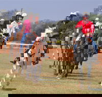 Pride of the West Races 2020 - Tourism Cairns
