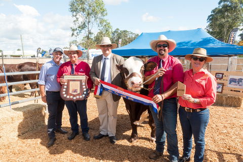 Primex Field Days - Tourism Cairns 0