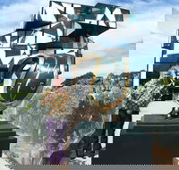 Salvador Dali Sculpture Exhibition - Tourism Cairns