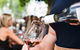 Saturday Wine Masterclass - thumb 0