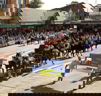 Scone Horse Festival - Tourism Cairns