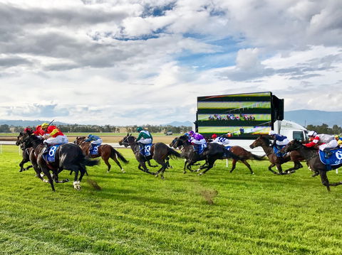 Scone Horse Festival - Tourism Cairns 2
