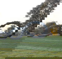 SculptureShaw - Tourism Cairns