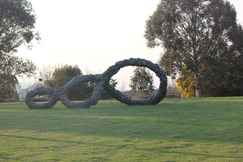 Sculpture@Shaw - Tourism Cairns 0