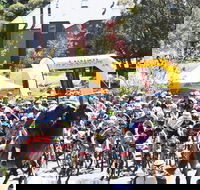 Snowies MTB Festival - Tourism Cairns