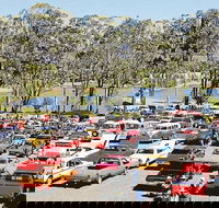 Spring Cruiz In - Tourism Cairns