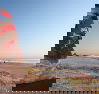 SWELL Sculpture Festival - Tourism Cairns
