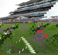The TAB Everest The Worlds Richest Race On Turf - Tourism Cairns